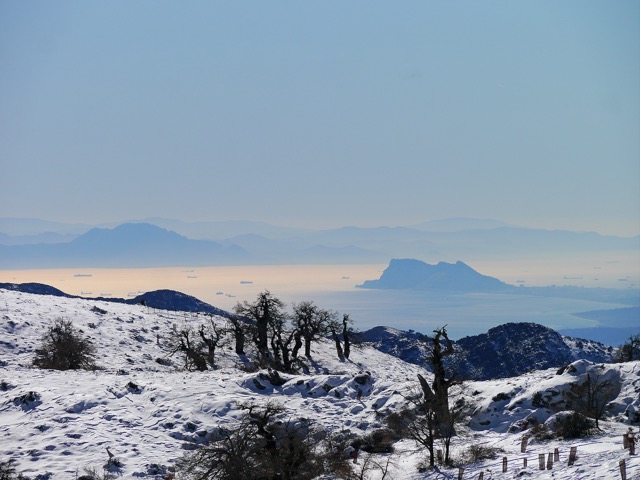When snow comes to la sierra. Photo G Rafa Flores, RF Natura